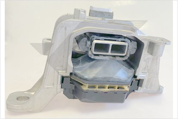 Variklio montavimas HUTCHINSON 586897