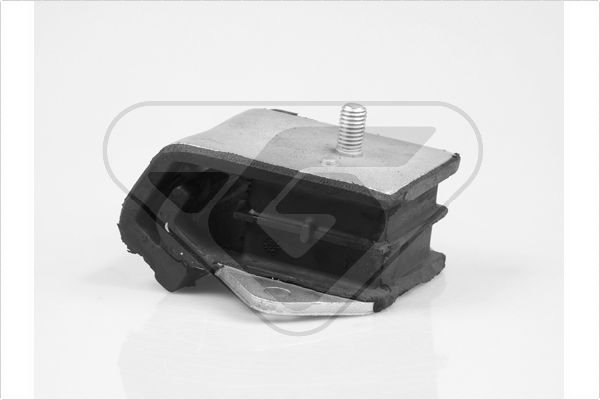 Variklio montavimas HUTCHINSON 594116