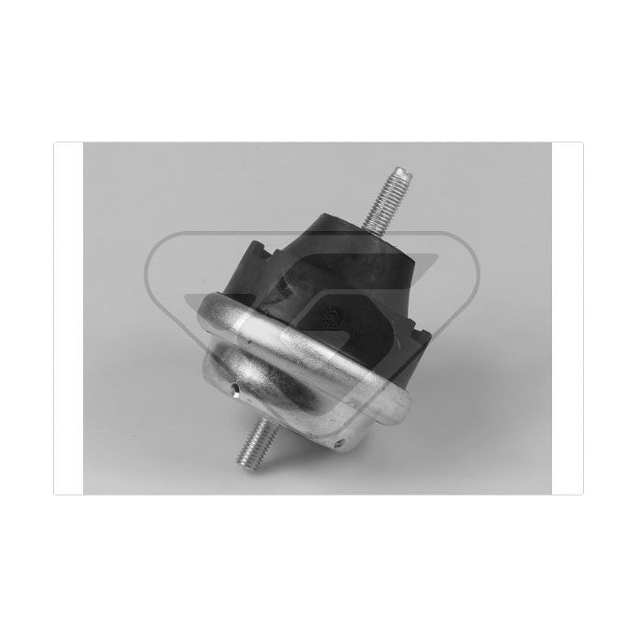 Variklio montavimas HUTCHINSON 594151