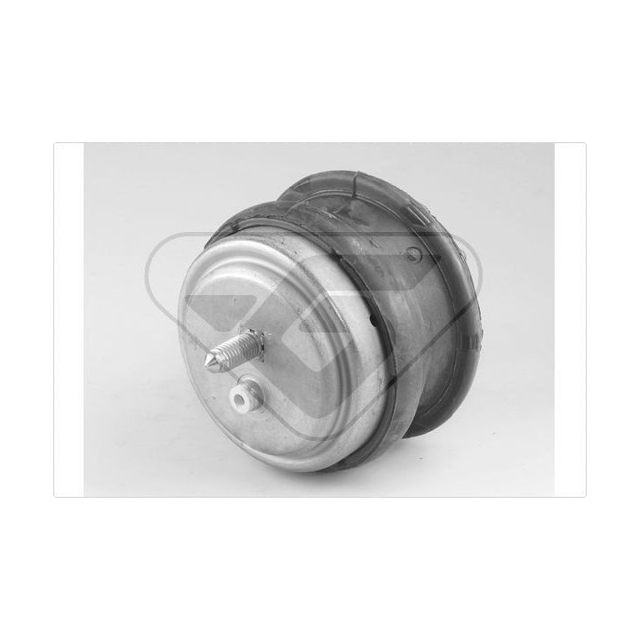 Variklio montavimas HUTCHINSON 594211