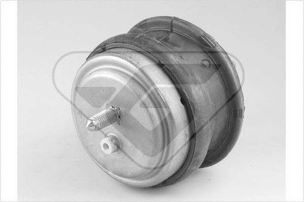 Variklio montavimas HUTCHINSON 594211