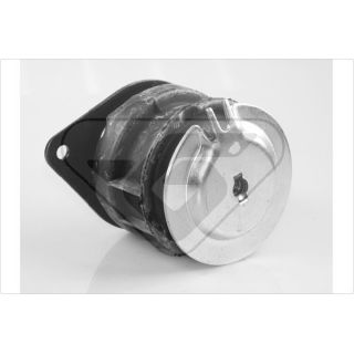 Variklio montavimas HUTCHINSON 594212