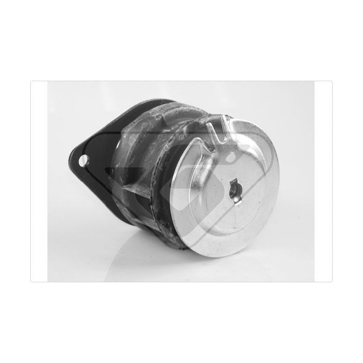 Variklio montavimas HUTCHINSON 594212