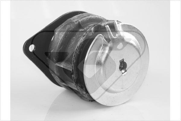 Variklio montavimas HUTCHINSON 594212