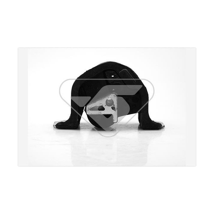 Variklio montavimas HUTCHINSON 594215