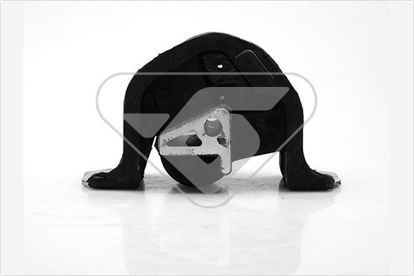 Variklio montavimas HUTCHINSON 594215