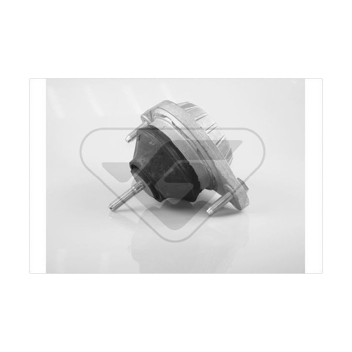 Variklio montavimas HUTCHINSON 594219