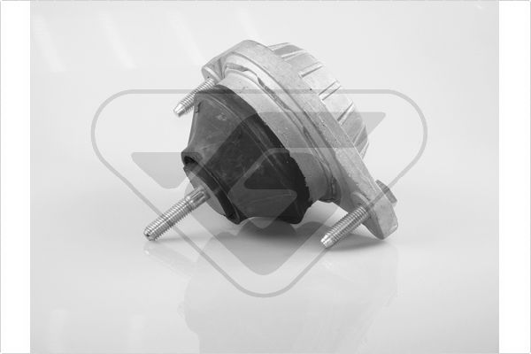 Variklio montavimas HUTCHINSON 594219