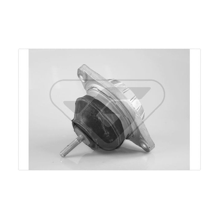 Variklio montavimas HUTCHINSON 594230