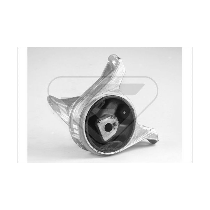 Variklio montavimas HUTCHINSON 594250