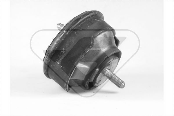 Variklio montavimas HUTCHINSON 594253