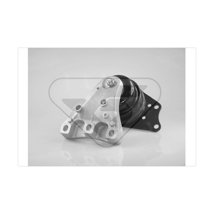 Variklio montavimas HUTCHINSON 594254