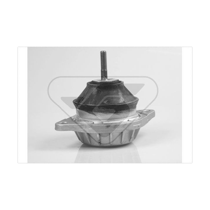 Variklio montavimas HUTCHINSON 594258