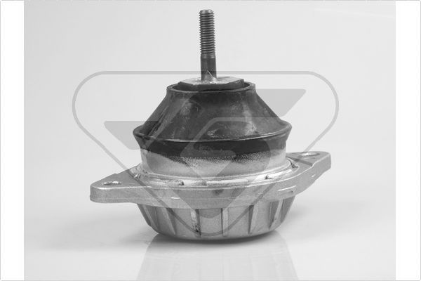 Variklio montavimas HUTCHINSON 594258