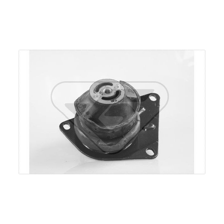 Variklio montavimas HUTCHINSON 594266