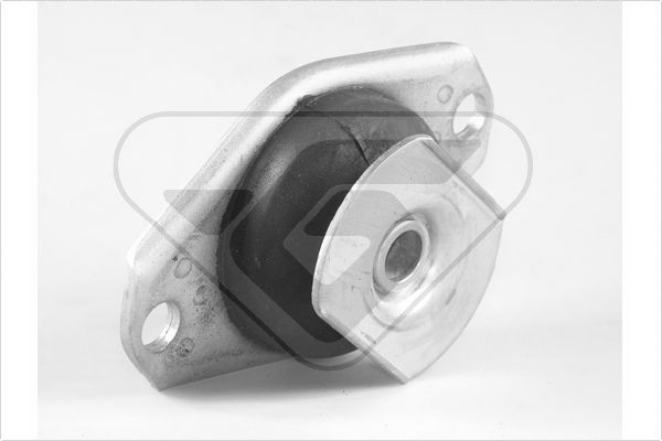 Variklio montavimas HUTCHINSON 594279