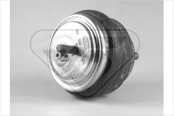 Variklio montavimas HUTCHINSON 594304