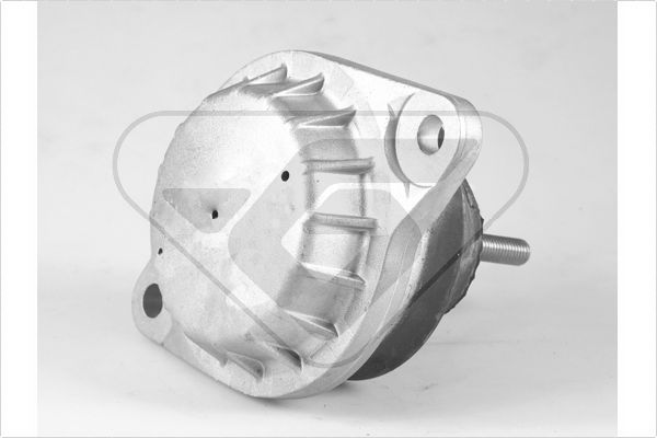 Variklio montavimas HUTCHINSON 594308