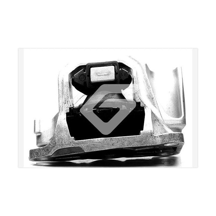 Variklio montavimas HUTCHINSON 594360