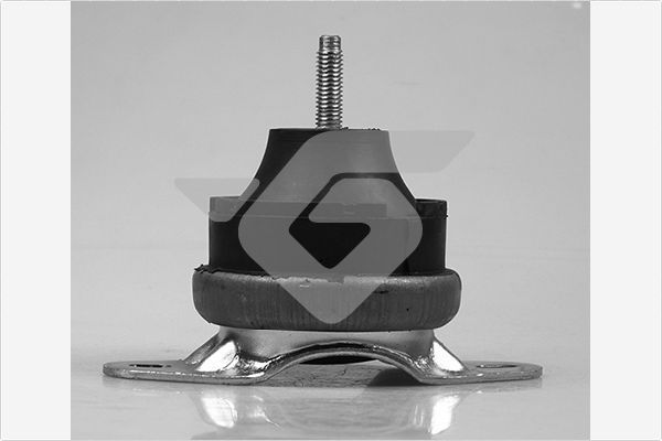 Variklio montavimas HUTCHINSON 594380