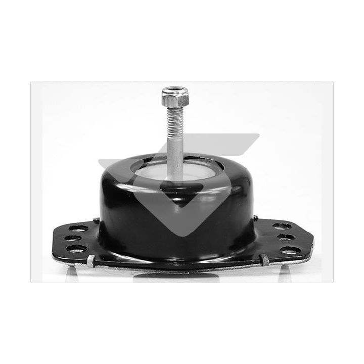 Variklio montavimas HUTCHINSON 594407