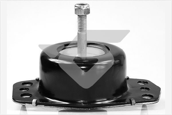 Variklio montavimas HUTCHINSON 594407