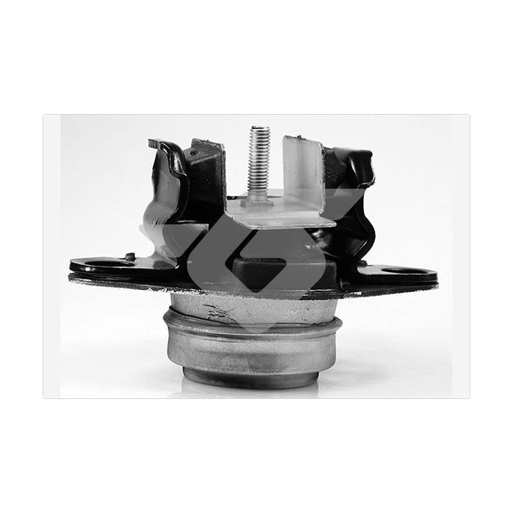 Variklio montavimas HUTCHINSON 594416