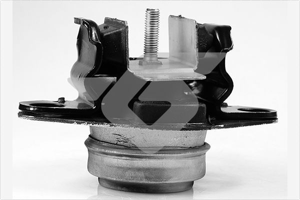 Variklio montavimas HUTCHINSON 594416