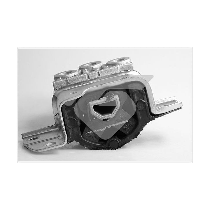 Variklio montavimas HUTCHINSON 594420