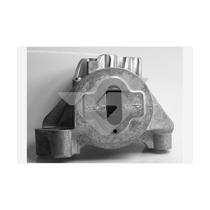 Variklio montavimas HUTCHINSON 594436