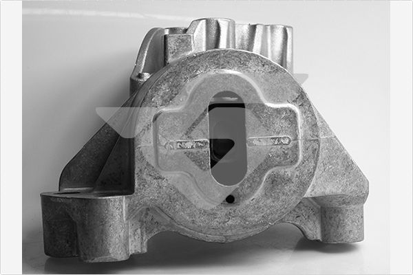 Variklio montavimas HUTCHINSON 594436