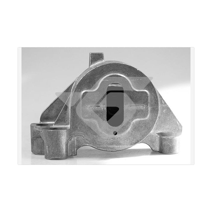 Variklio montavimas HUTCHINSON 594437