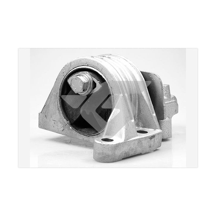 Variklio montavimas HUTCHINSON 594460