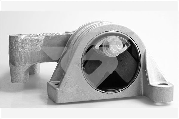 Variklio montavimas HUTCHINSON 594461