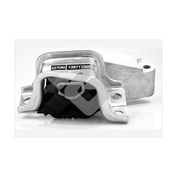 Variklio montavimas HUTCHINSON 594466