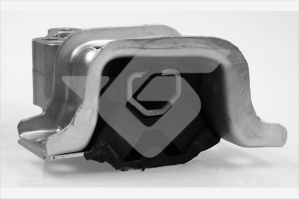 Variklio montavimas HUTCHINSON 594467