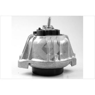 Variklio montavimas HUTCHINSON 594492