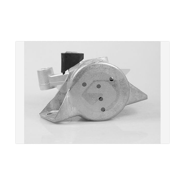 Variklio montavimas HUTCHINSON 594505