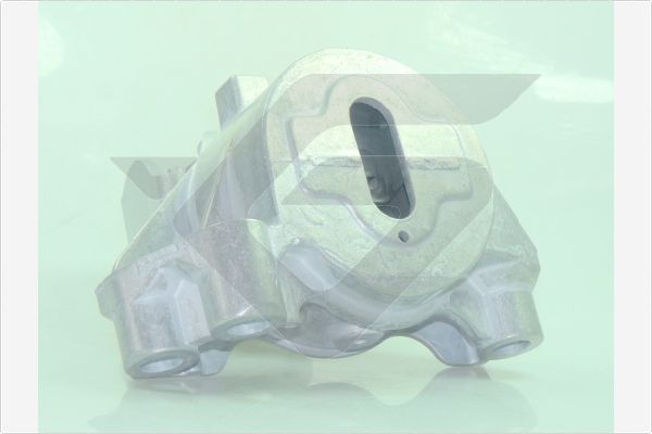 Variklio montavimas HUTCHINSON 594544