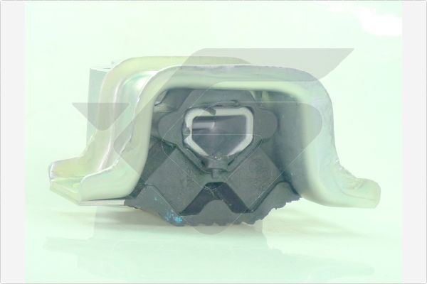 Variklio montavimas HUTCHINSON 594546