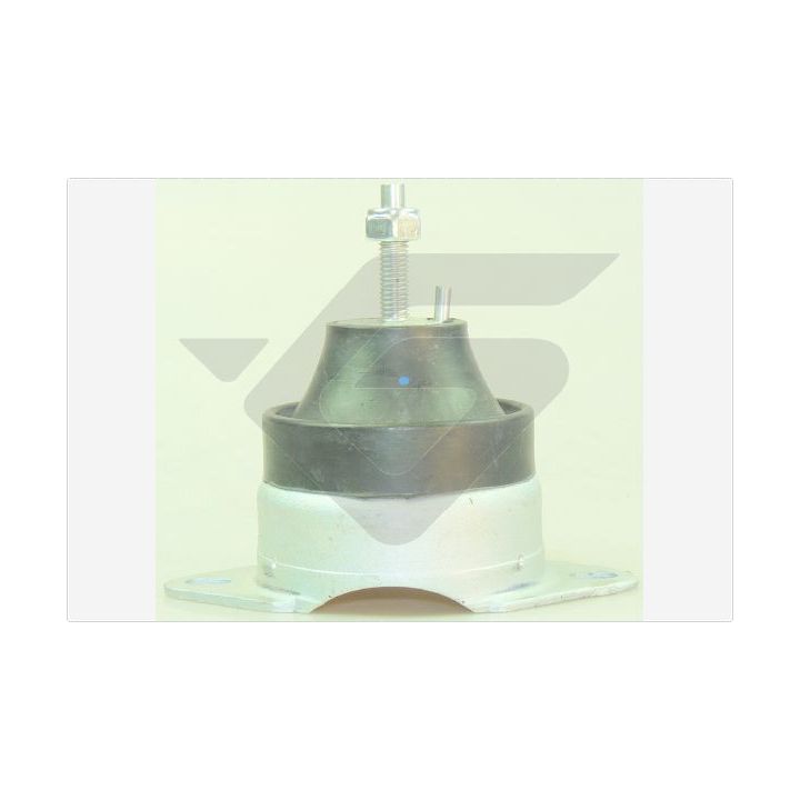 Variklio montavimas HUTCHINSON 594589