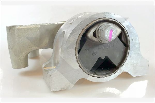 Variklio montavimas HUTCHINSON 594595