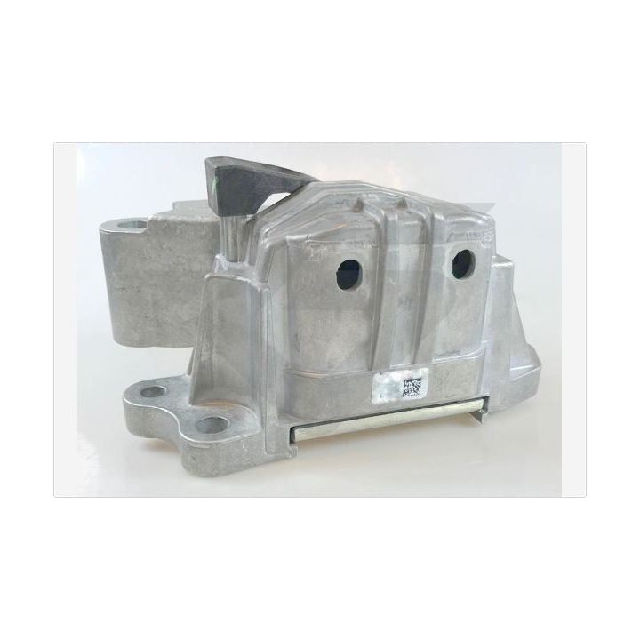 Variklio montavimas HUTCHINSON 594596