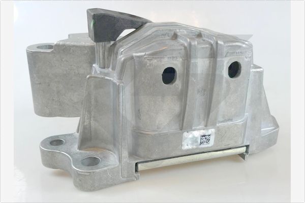 Variklio montavimas HUTCHINSON 594596