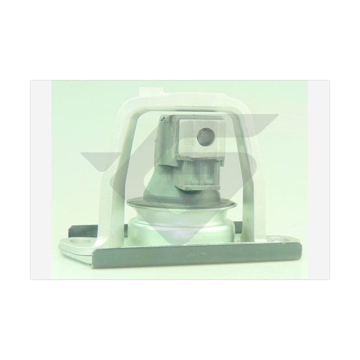 Variklio montavimas HUTCHINSON 594660