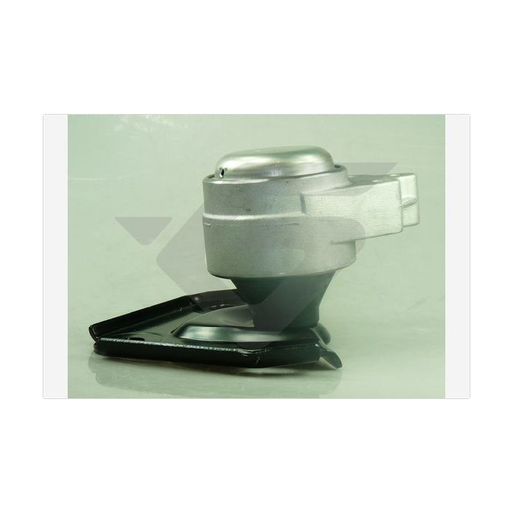 Variklio montavimas HUTCHINSON 594681