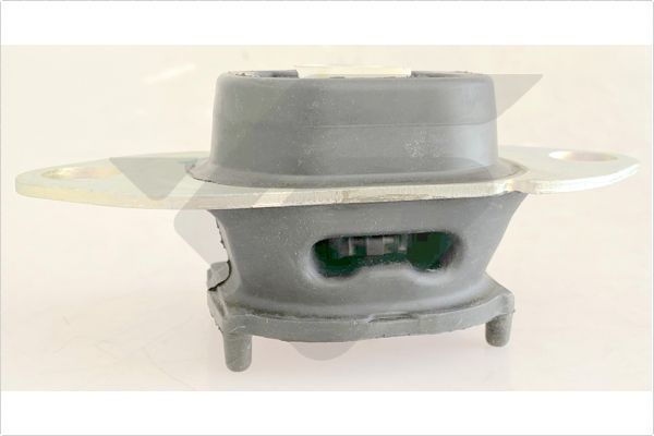 Variklio montavimas HUTCHINSON 594731