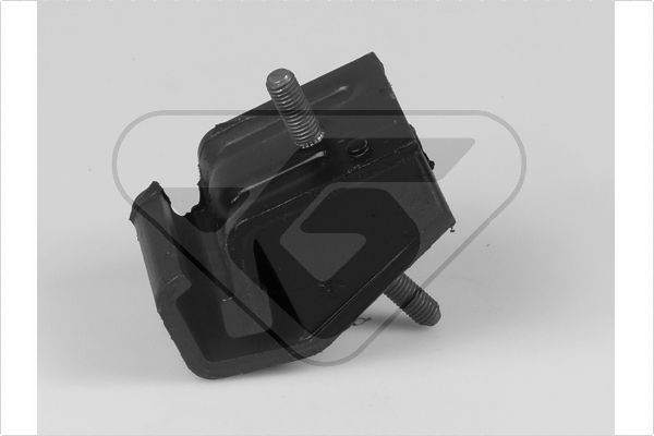 Variklio montavimas HUTCHINSON 598012