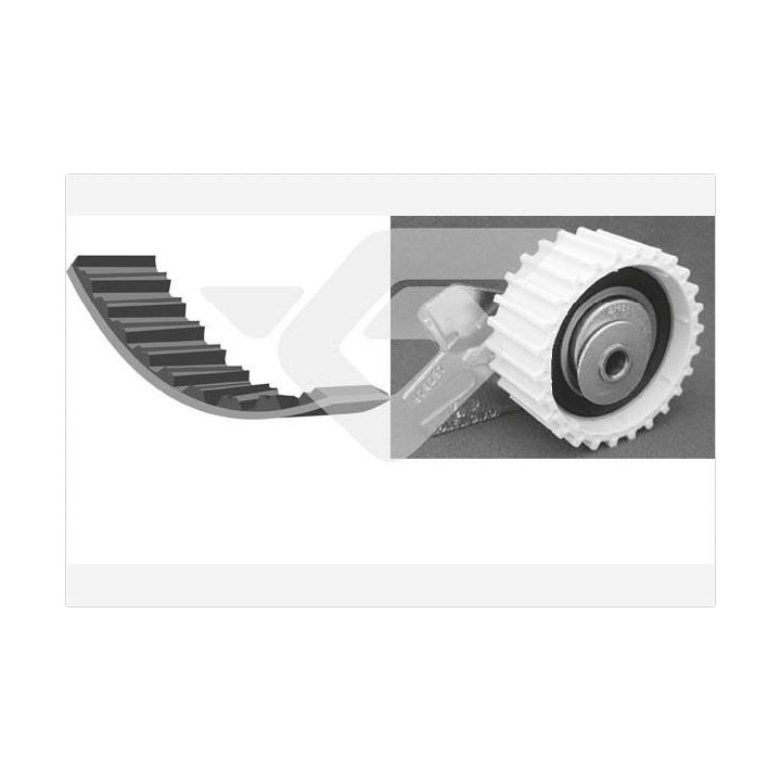 Paskirstymo diržo komplektas HUTCHINSON KH 119