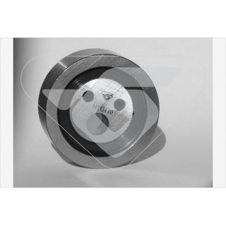 įtempiklio skriemulys, paskirstymo diržas HUTCHINSON HTG 110